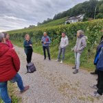 Besichtigung im Rebberg